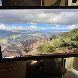 Samsung 21 Inch Computer Monitor