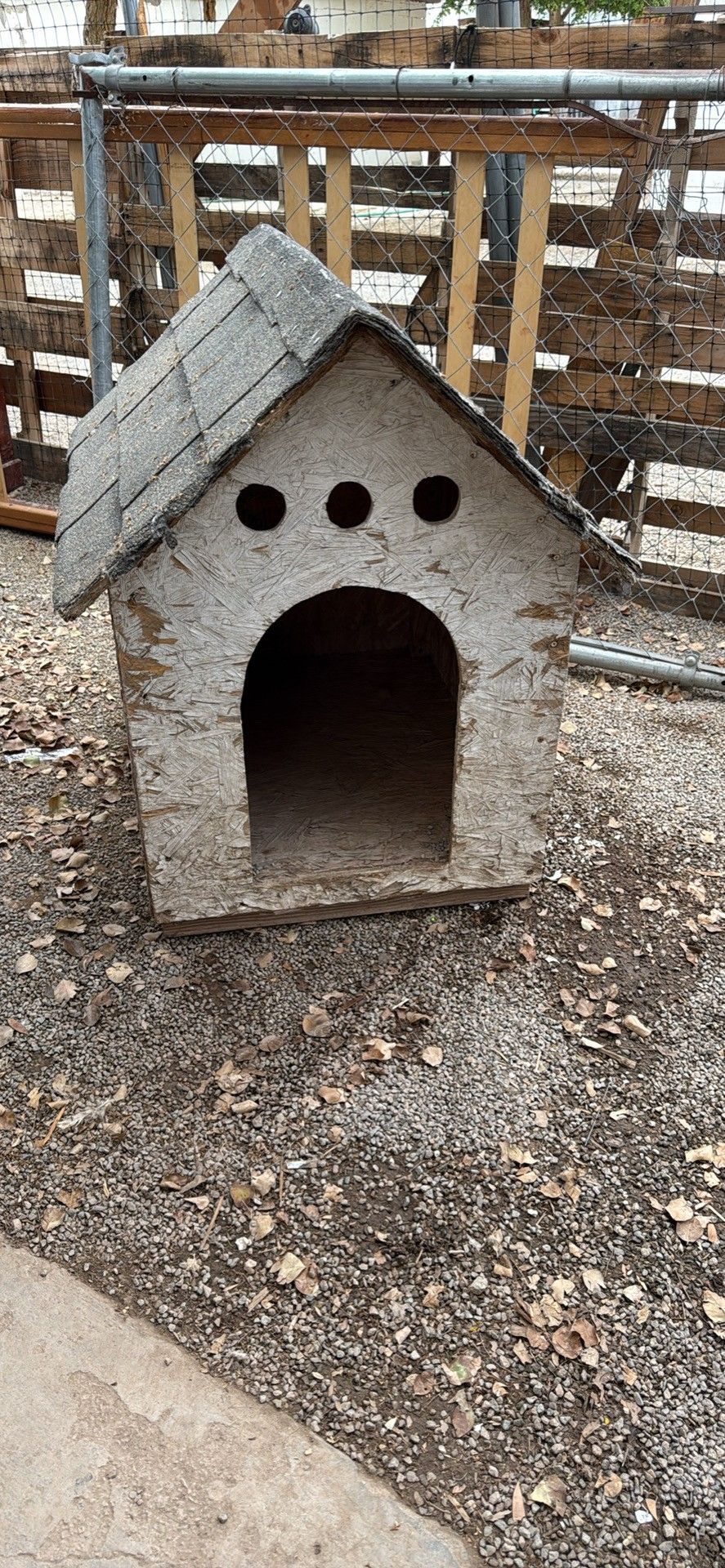 Dog House