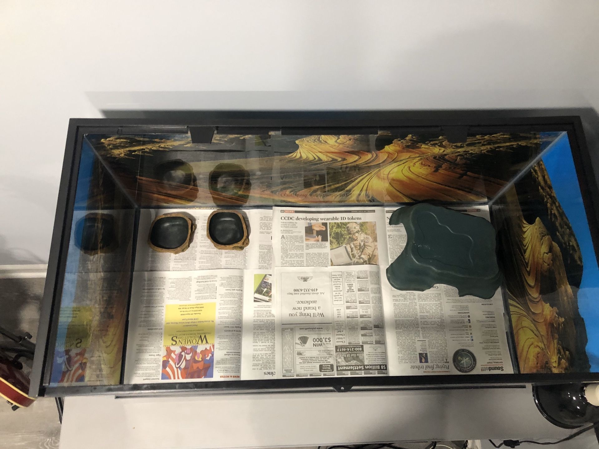 Reptile Tank