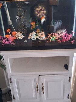 Fish Tank And Stand