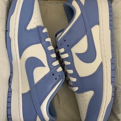 Nike Dunk Low  Polar Blue Size 9.5 