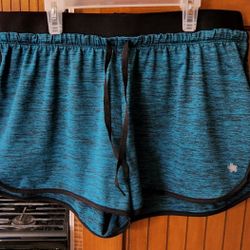 LARGE WOMANS TEAL  TEK GEAR DRI TEK SHORTS