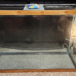 50 Gal Fish Tank 