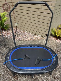 Stamina Rebounder