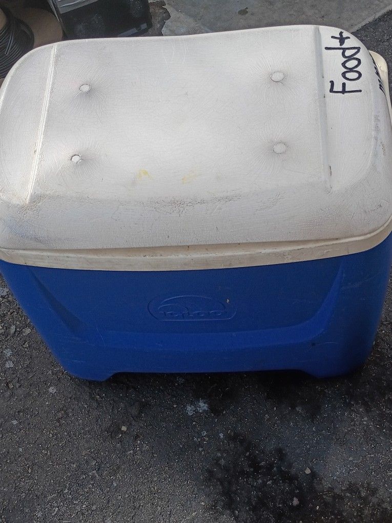 IGLOO COOLER