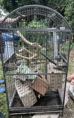 Parrot Cage