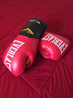 Everlast 12 oz Boxing Gloves – $20