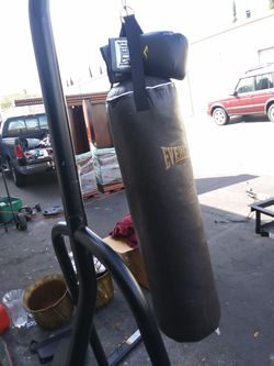 Everlast bag w/stand and gloves