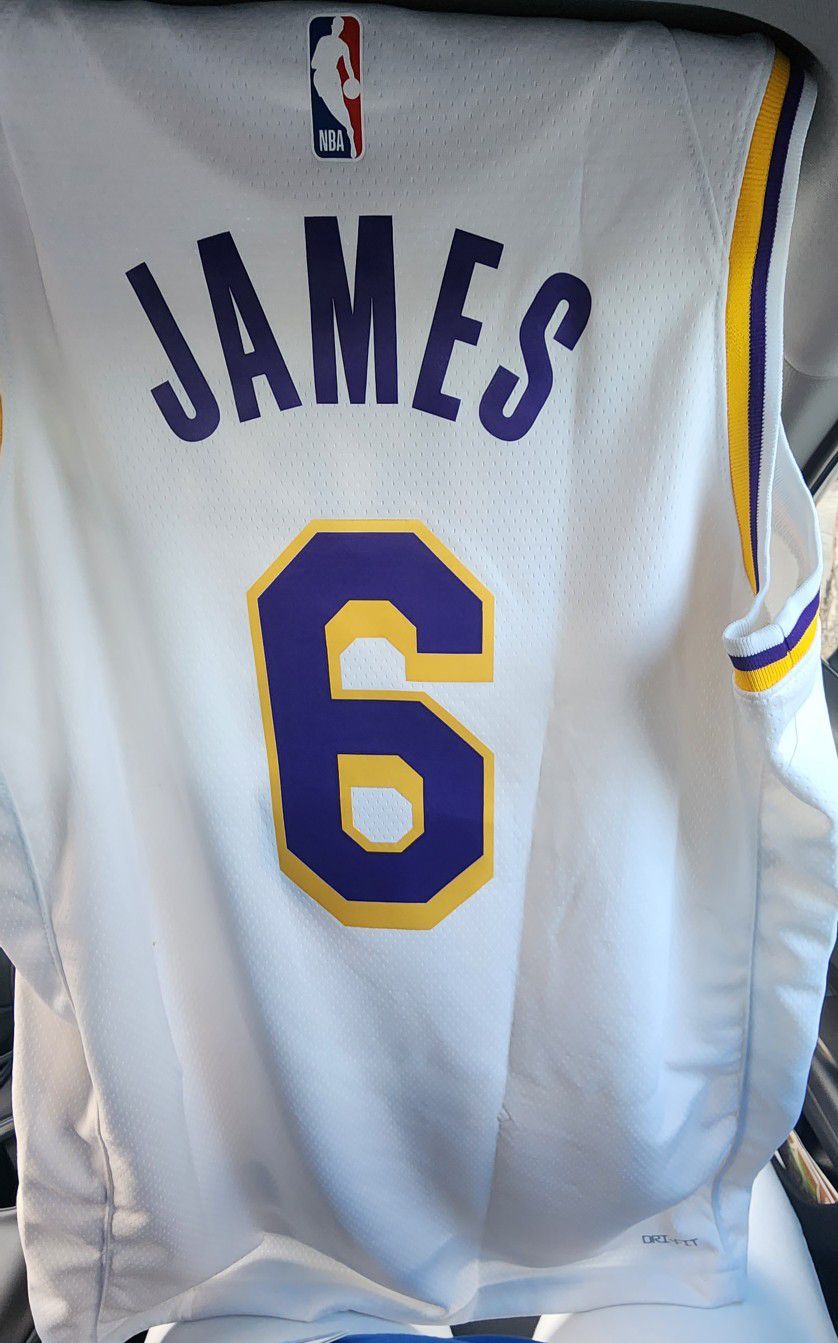 Los Angeles Lakers LeBron James #6 Association Swingman Jersey