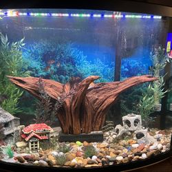 Top Fin® Bow Front Aquarium Starter Kit - 36 Gallon