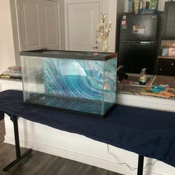 Large  fish tank
