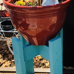 PLANT STANDS WITH POTTED PLANTS 