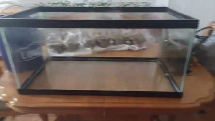 40 GALLON TANK  with some supplies