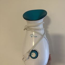 Face Steamer
