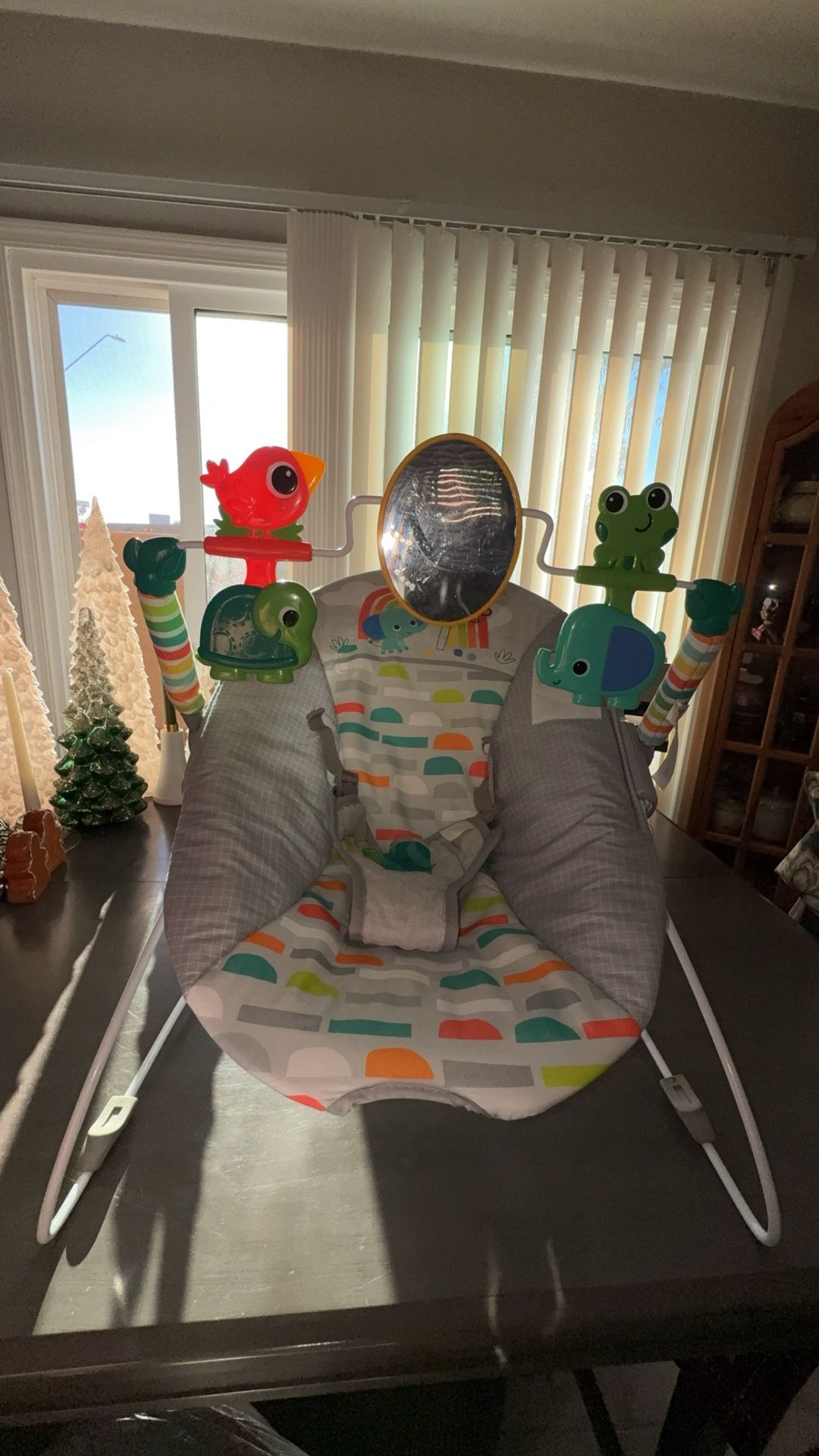 Bright Starts Playful Paradise Baby Bouncer