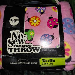 Ladybug No-Sew Fleece Blanket