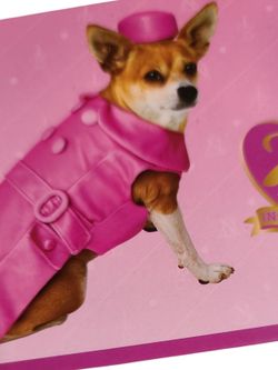 Vtg 2000s Legally Blonde Bruiser Woods cosplay S