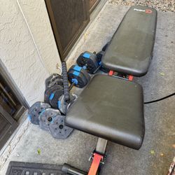 Bench And Weights 
