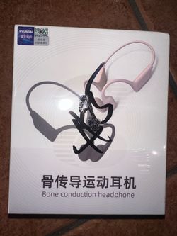 Haudai earphones
