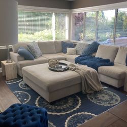 Blue Print 8x10 RUG  Indoor /outdoor