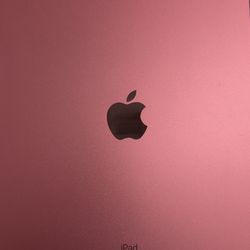 IPad 10th gen Pink- w/apple pen