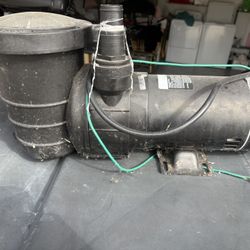Pool Pump