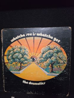 The dramatics whatcha see is whatcha get  record