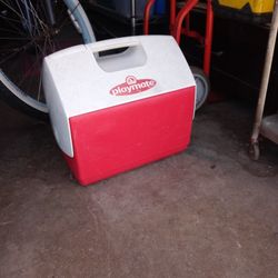 5 Gallons cooler for Sale