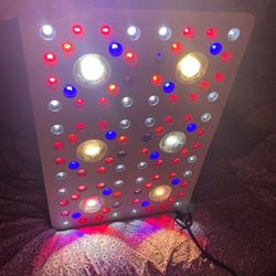 led grow light optic 6