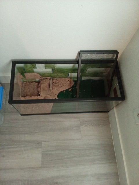 Reptile Tank