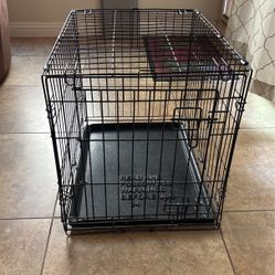 Pet Kennel