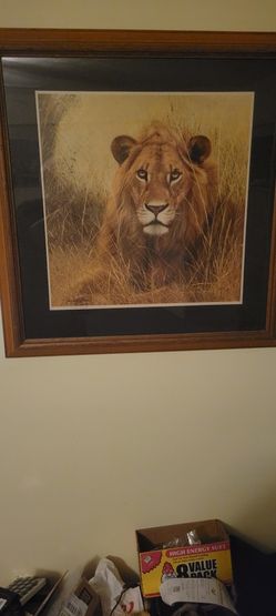 Charles Frace African Lion