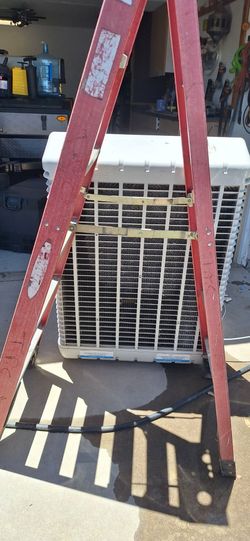 Bonaire Swamp Cooler