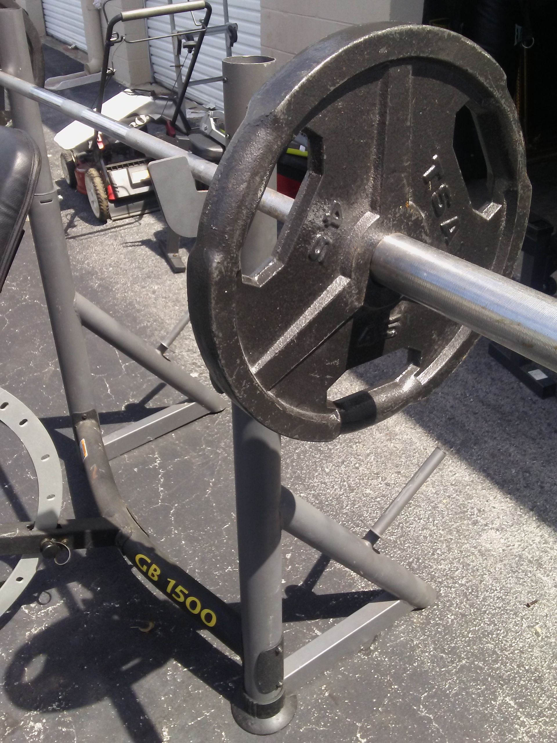 Golds gym weight bench/weights
