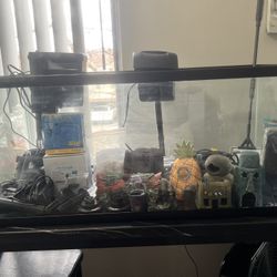 Fully Stock 40 Gallon Breeder Fish Tank Everything Included! If U Want Separate Things We Can Negotiate