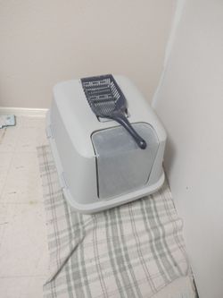 Large litter box
