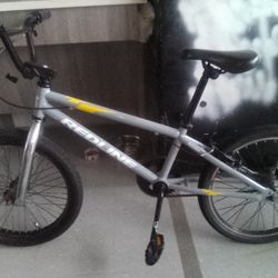 Redline Roam BMX Bike 