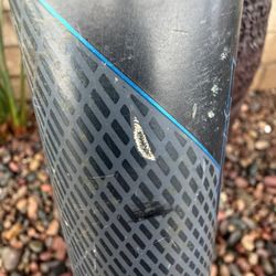 Easton Ghost Softball Bat