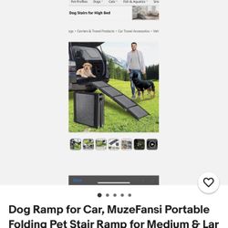Dog Ramp For Cars