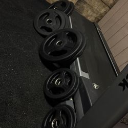 Bench Press 