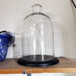 Glass Bell Jar Cloche Wood Base
