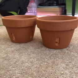 Orchid terracotta Pots