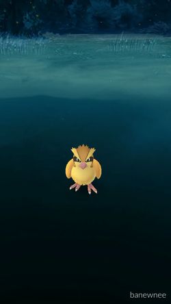 iso new duty uniform