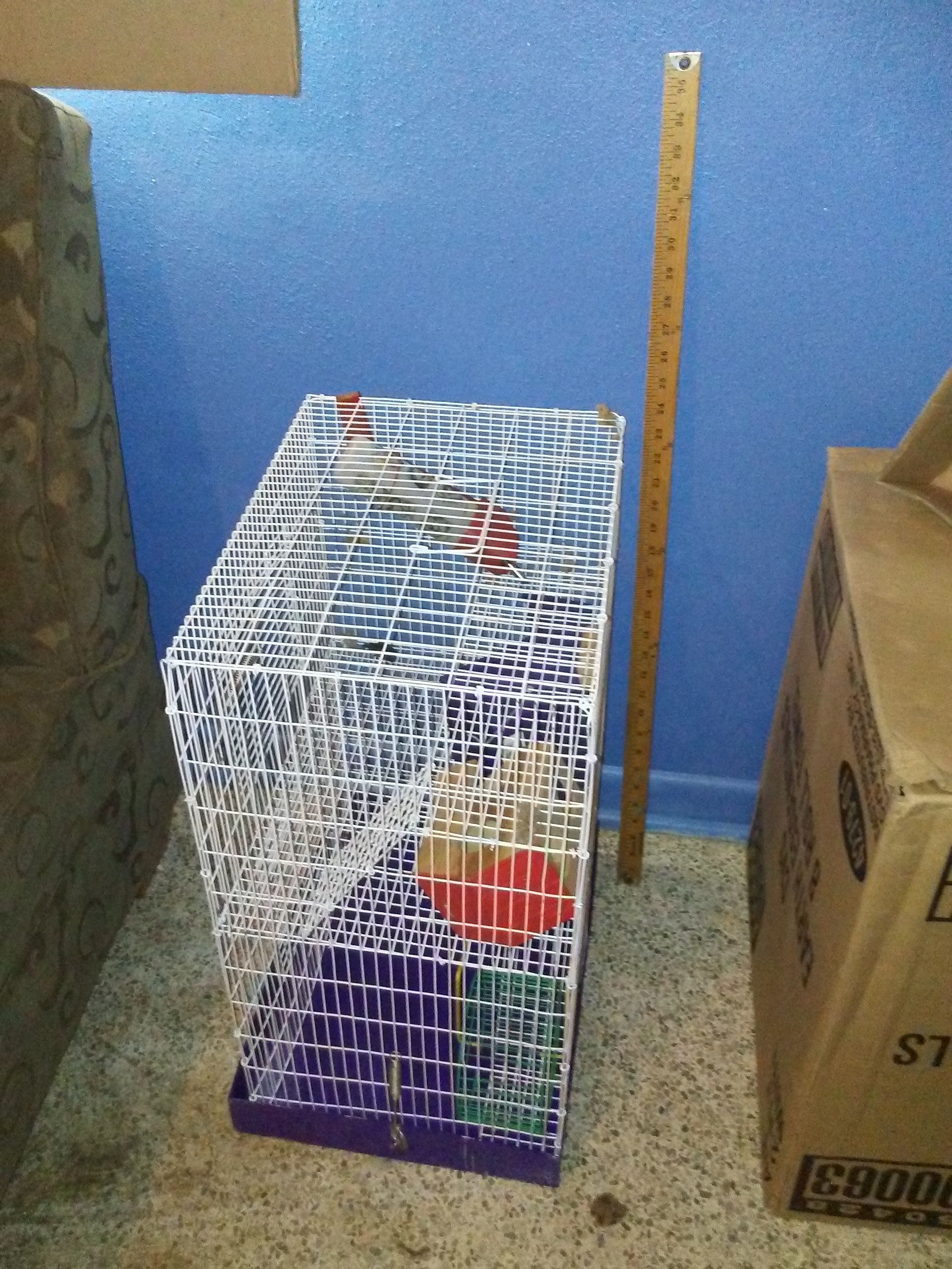 Hamster cage