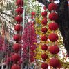 tieu