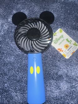 Disney Fan 