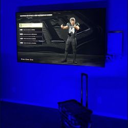 TV MOUNT