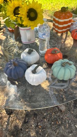 Decorative Pumpkins 