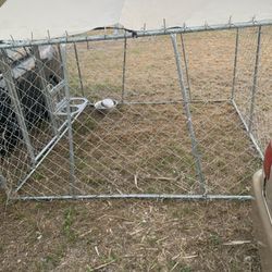 Large Dog Kennel 