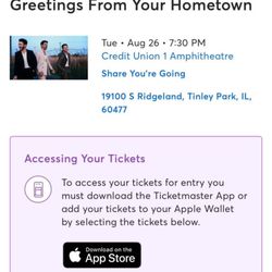 Jonas Brothers: JONAS20 Greetings From Your Hometown